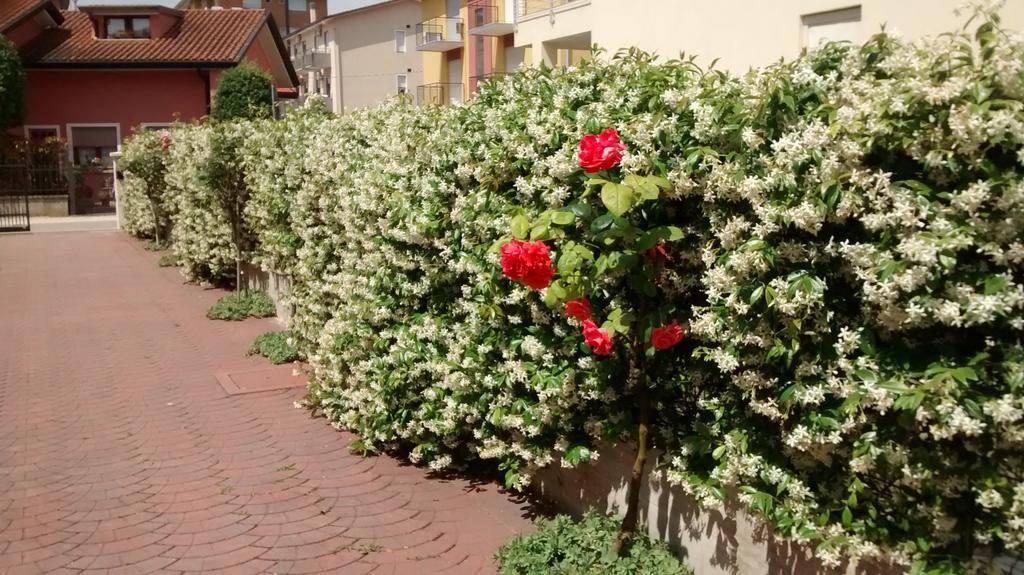 Appartamenti Bedin, Jesolo Lido di Jesolo Exterior foto